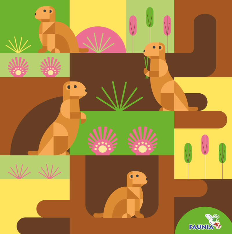 Patrón ilustrado de suricatas entre rocas y vegetación en tonos tierra, con el logotipo de Faunia