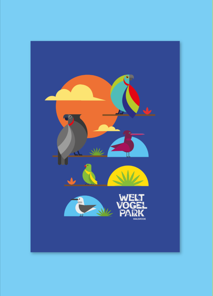 Cartel ilustrado de un cálao sobre fondo azul
