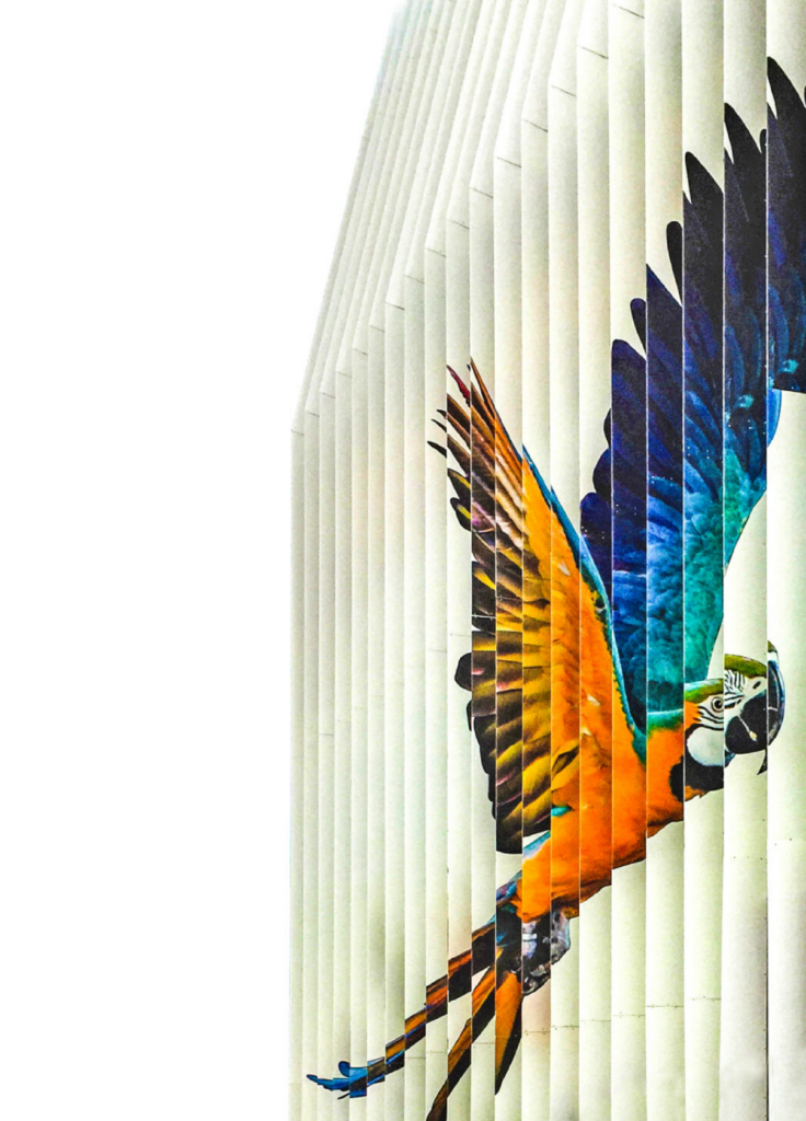 Detalle de un guacamayo de colores pintado sobre los paneles verticales blancos de la fachada